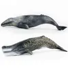 TOMY 30 سم محاكاة المخلوق البحري النموذج الحوت المنوي الحوت الرمادي الحوت PVC نموذج الشكل X11061444971