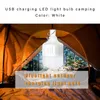 Żarówki USB Smart Akumulator LED Lampa Lampa Lampka Namiot Oświetlenie Kryty Outdoor Dusk do Dawn Camping Hilking Travel