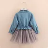Spring Autumn 2 3 4 6 8 10 11 12 Years Teenage Crew Neck Long Sleeve Lace Mesh Patchwork Denim Dress For Baby Kids Girls 210529