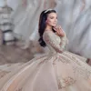 Lyxig champagne quinceanera klänningar 2024 spets appliced ​​crystal långärmad bollklänning vestidos de quinceanera älskling söt 16 klänning