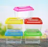 Little Pet Rabbit House Mini Clear Hamster Cage Cute Transparent Plastic Goldfish Turtle Bowl With Portable Handle Many Colors SN2664
