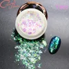 Nail Glitter Chnrmjl 6Colors/Set Chameleon Aurora Pigment Flakes Art Cryolite Bright Shiny Nails Polish Dust Powder Accessories Prud22