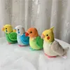 14 cm Budgie peluche jouets doux vraie vie perruche peluches jouet réaliste oiseaux jouets en peluche cadeaux pour enfants enfants H0824