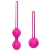 NXY Eggs 2 pezzi Palline vaginali per donna Ben Wa Kegel Set di esercizi Plug anale Giocattoli del sesso Macchina per masturbatore femminile Articoli erotici Negozio di giochi per adulti 1124