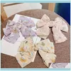 Aessories & Tools Productsfashion Chiffon Hairpin Double Bowknot Hair Clip Print Floral Spring Women Headwear Aessories1 Drop Delivery 2021