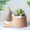 Cute Succulent Plant Pot Creative Resin Fleshy Flower Planter Flowerpot Create Design Home Garden Bonsai Pots Y0314
