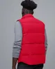 Canda Goose Piumino da uomo Parka Piuma Autunno Inverno Canada Style Giacca da uomo Real Vest Black Label Moda Uomo Donna Gilet OVHK