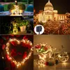 Solar Led Light Outdoor Strings Waterproof For Garden decoration Outdoors DIY Christmas Easy to install