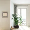 Smart Home Control 1/2/3/4 Gang 1 2 Way Wall Switch Champagne Gold 10a Elektrisk tryckknapp Rostfritt Stål Borstadpanel Avbrytare