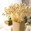 50pcs Gem Grass Tail Dry Flower Bouquet Home Decoration Eternal Pography Props Decor Natural Dried Decorative Flowers & Wreaths