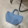 Diseñador de marca Cosas Sacos Bolsas Moda Lona Lavado Multifunción Almacenamiento de viaje Bolsa de mano Organizador Bolsa 271x