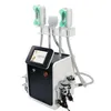 Profissional de 360 ​​graus Gordura de gordura Cryolipolysis Machine Multi-funcional Beauty Equipamento