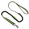 Dog Collars & Leashes 190cm Elastic Leash Pet Cat Puppy Anti Dash Pull Lead Retractable For Hamster Small Pets