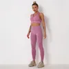 Pantaloni a due pezzi da donna in 5 colori Hipsterme Set da yoga senza cuciture per donna Completi da palestra Reggiseni sportivi Leggings da fitness Tuta da allenamento Abbigliamento sportivo Abbigliamento sportivo