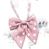 12 * 15cm Kvinnor Girl Print Bow Slipsar För Bank Hotel Business Dress Suit Shirts Decor Mode Accessoarer