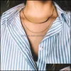 & Pendants Jewelrydesigner Minimalist Thin Snake Chain Gold Plated Necklaces For Women Niche Sexy Choker Jewelry Aessories Chains Drop Deliv