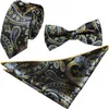 Vérifiez Jacquard Men Woven Men Butterfly Bow Clie Bowtie Pocket Square Mandkinchief Sett Hanky Set RC26901109