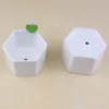 Pots de bonsaï en céramique, vente en gros, mini pots de fleurs en porcelaine blanche, fournisseurs pour semis succulents, pour pépinière d'intérieur et de maison