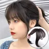 Perruques synthétiques Houyan Bangs Wig Piece Naturel 3D Français Li Luhua Noir Remplacement Twocolor Block Fake1101741