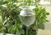 Plant Waterer Self Watering Globes Hand Blown Clear Glass Plant Water Bulbs for Indoor Outdoor 2 Flower Shape