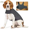 dog anxiety vest 210401