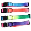 Moda Rainbow Nylon Dog Collars Pet Cat Designer Pas z klamrą Regulowany kołnierz bezpieczeństwa dla psów Małe średnie Duży Różowy Czarny Czerwony Błękitny Purpurowy Neck Fit 14