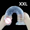 Realista Big Dildo Soft Jelly Suction Cup Cock Pene Adultos Juguetes No Vibrador Anal Butt Sey Juguetes para mujer Lesb Toy Shop Erótico Y201118