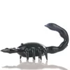 Pipa in vetro Cartone Black Scorpion pipe per fumatori Pipa in vetro per animali Fornitura per il fumo