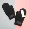 Europees en American Designer Merk Winddicht Lederen Handschoenen Dame Touch Screen Rabbit Bont Mond Winter Heat Preservation Wind Style 5689