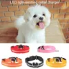 Halsbanden Honden Cool LED-halsband voor huisdieren Nachtveiligheid Knipperend Glow In The Dark Leiband Honden Lichtgevende fluorescerende benodigdhedenV6716896