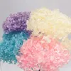 Guirnaldas de flores decorativas 1 caja Colorfast secado exquisito natural realista DIY cabezas de hortensia favores de la boda