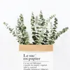 Couronnes de fleurs décoratives, 10 pièces, Branches d'eucalyptus séchées naturelles, grand décor pour la maison, taille immortelle, feuille de fleur F8d0