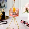 Tischdekoration Europäische leichte Luxus-Heimdekorationen rosa weibliche Accessoires-Box Bolden Metallharz Desktop-Kosmetik erste Schmuckaufbewahrungsröhre