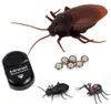 rc insecte jouets