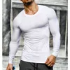 Mannen Sneldrogende Fitness Tees Outdoor Sport Lopen Klimmen Lange Mouwen Solid Color Shirt Panty Bodybuilding Tops onder Skin 220309