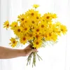 fleur de chrysanthème jaune