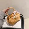 HBP Bolso tejido marrón Bolso Verano INS Mujeres TOTE Moda Moda Alambre de metal Cesta de vacaciones Picnic MINI Bolsas pequeñas