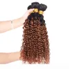 Brazilian Virgin Hair Ombre Weave 3 Bundles Kinky Curly 1B 30 Medium Auburn Color Unprocessed Malaysian Peruvian Curly Human Hair 6095961