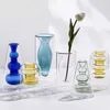 İskandinav ev dekorasyon kristal vazolar için iç hidroponik çiçek lekeli vazo cam taban oturma odası masaüstü hediye 211103