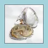 真珠のルーズビーズジュエリー卸売約25色の天然淡水真珠の真珠貝、混合真空包装オイスターのシェル滴の配達
