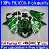 Suzuki Srad TL1000 TL 1000 R 1000R 98-03 Light Green Bodywork 30no.10 TL1000R 98 99 00 01 02 03 TL-1000R 1998 1999 2000 2001 2001 2002 2003 OEM 몸