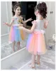 Spring and Summer Girl's Dresses Animal Embroidered Flower colours Dress
