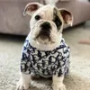 детские свитера для собак
