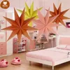 hanging paper stars