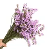 Flores decorativas grinaldas yomdid naturalmente seco buquê esquecer-me-não real para dia dos namorados casamento casamento jardim cenário decoração