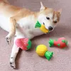 新しい中小型犬ペット用品ラテックスサウンドおもちゃフルーツ犬咬傷耐性臼歯退屈を和らげるため XG0349