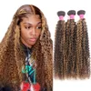 3 Bundles Double WeT P4 27 Destaque Curly Brazilian Human Human Weave Extensões 100g / PCs