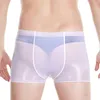 Underpants Men Oil Shiny Sexy See Through Underwear Glossy Shorts Bottom Pant Elastic Boxer Fashion Comfy Brief Gay Sissy Pantie