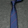 Heren Designer Ties stropdasstrepen Plaid Letter G Bee Fashion Luxury Business Business Leisure Silk Tie Cravat met box sapeeee194m