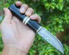 1pcs High End Survival Straight Kniv VG10 Damascus Steel Drop Point Blade Ebony + Horn + Brass Head Handtag Fasta Blad Knivar med lädermantel